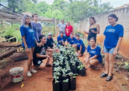 Arboriza Via amplia participação e leva novas turmas ao cultivo de mudas em Batayporã