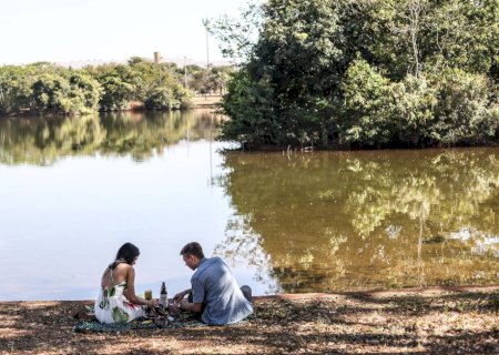 Deitar e brincar na terra, na grama e na areia pode causar doenças; saiba como se proteger