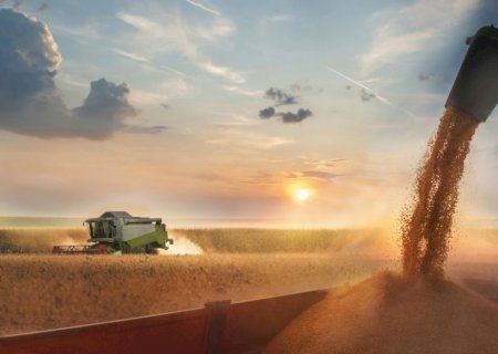 Produtividade recorde do agro brasileiro ameaça ser sufocada por gastos públicos improdutivos