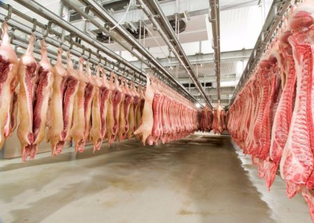 Exportações de carne suína registram recorde histórico em março