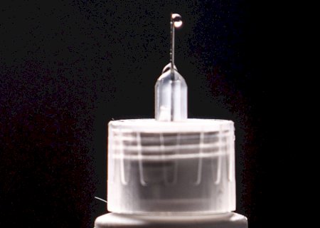 Anvisa rejeita novos registros de canetas emagrecedoras de semaglutida e liraglutida