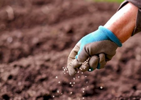Efeito da guerra sobre fertilizantes preocupa países da América