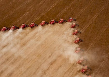 Agro liderou as solicitações de recuperação judicial no último ano, aponta Serasa