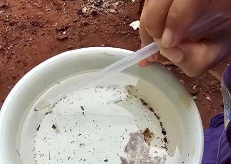 Dourados investiga duas novas mortes por suspeita de chikungunya