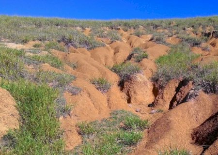 Brasil tem 28 milhões de hectares degradados com potencial de gerar R$ 904 bilhões sem desmatamento