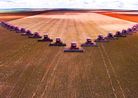 Bloqueio de R$ 1,6 bilhão no Orçamento afeta agro e atinge Ministério da Agricultura