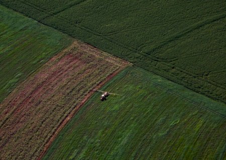 Aprimoramento genético promove ganhos em produtividade e sustentabilidade no agro brasileiro