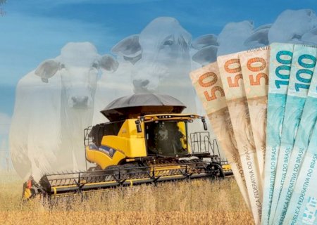 CNA aciona STF contra regras que travam crédito rural e acendem alerta no agro brasileiro