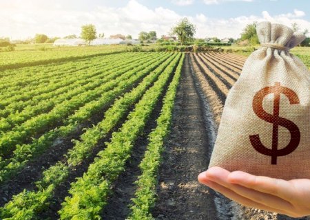 Caixa aguarda mais impacto de inadimplência na carteira de crédito do agro nas provisões deste ano