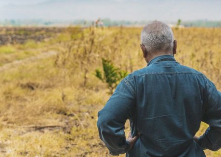 Saúde mental ganha força no campo com capacitação voltada às comunidades rurais