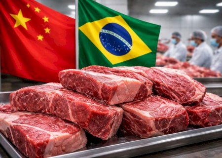 Fim da cota da China pode travar exportações e pressionar o boi gordo