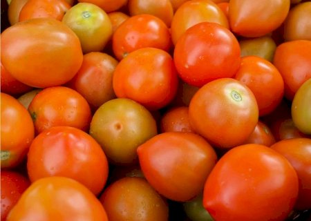 Saiba quais são os alimentos mais contaminados por agrotóxicos