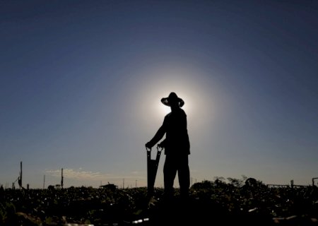 Produtores rurais poderão ter acesso facilitado a crédito e seguro após perdas climáticas