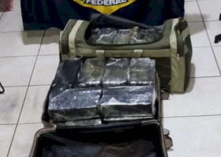 Duas apreensões na BR-267 somam 629 quilos de maconha em Bataguassu