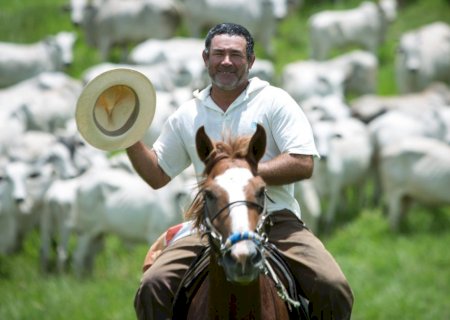Agro cresce 2% em 2026 e sustenta PIB do Brasil mesmo com crise no crédito rural
