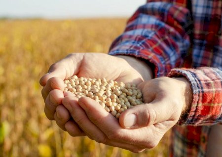 Exportações de soja têm alta de 59% em abril em Mato Grosso do Sul