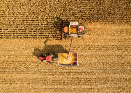 Projeto do seguro rural prevê mais segurança financeira para produtores