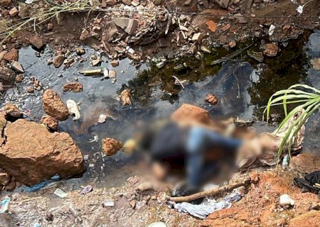 Homem é perseguido durante briga, cai de altura de 7 metros e morre em córrego