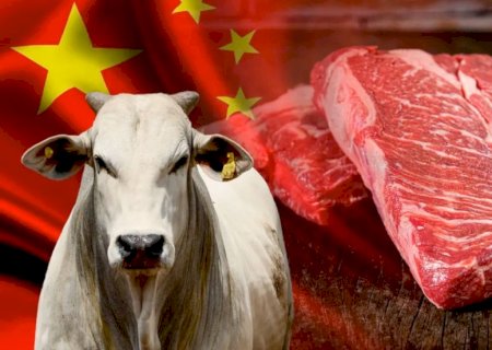 Brasil tenta rever cota chinesa para exportação de carne bovina e fim da sobretaxa de 50% em 2027