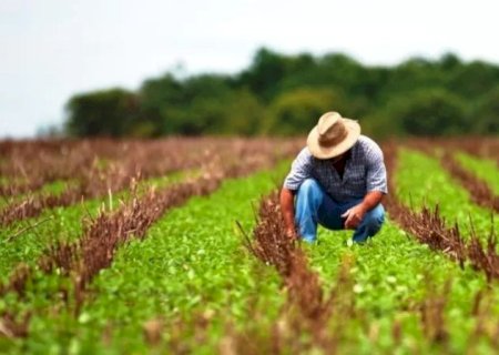 Crise financeira no agro ameaça próxima safra no país