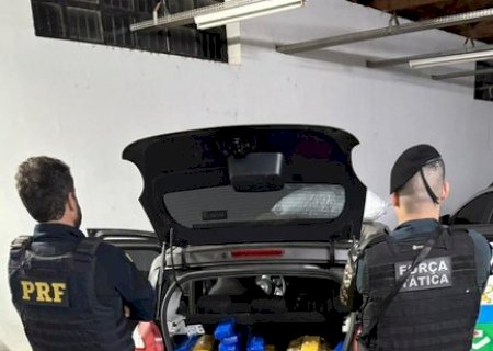 PRF e PM apreendem 219 Kg de maconha em Ivinhema (MS)