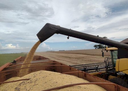 Conclusão da safra de soja impulsiona superávit de US$ 958 milhões em MS