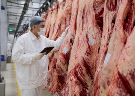 Participação da carne bovina dos EUA na China despenca e abre espaço estratégico para o Brasil