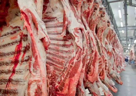 Pecuaristas de MS reagem à decisão da UE contra carne brasileira