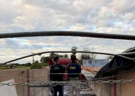 PRF e PM apreendem 4 toneladas de maconha em Nova Andradina (MS)