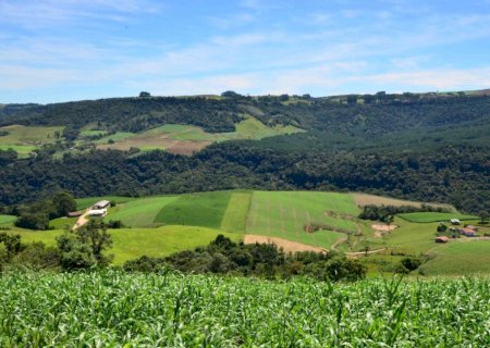 Nova regra veta seguro rural para propriedades com irregularidades ambientais e trabalhistas