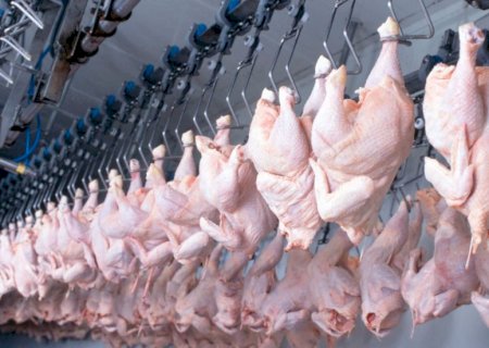 Competitividade da carne de frango recua frente às concorrentes