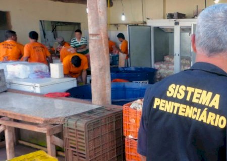 Trabalho e ressocialização: Agepen amplia parcerias para empregar internos em Mato Grosso do Sul