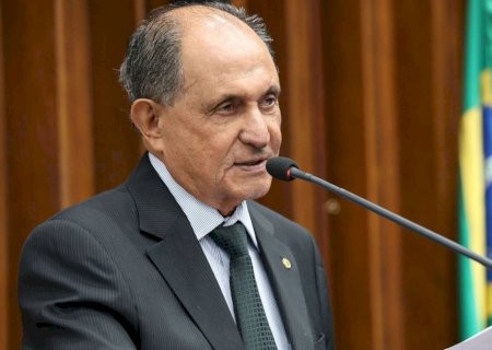 Lei: Outubro Rosa e Novembro Azul voltados aos pets entra para o Calendário Oficial