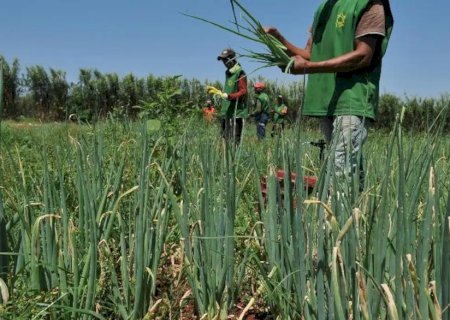 Mais da metade dos setores do agro registra queda e abril fecha com saldo negativo de empregos