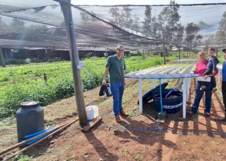 Agricultores familiares geram renda e perdem o medo da tecnologia com apoio da Governo de MS