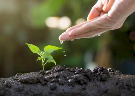 Tecnologias sustentáveis já estão presentes em 3,6 milhões de propriedades rurais no Brasil