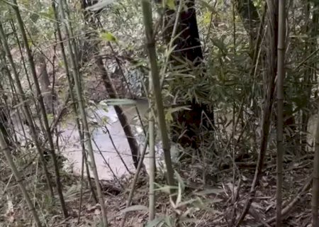 Corpo em decomposição é encontrado às margens de córrego