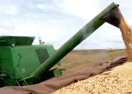 MS registra 2º maior crescimento entre principais estados produtores do país e dispara no agronegócio