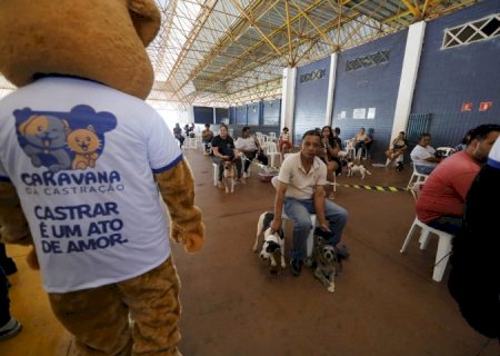 Iniciativa de sucesso, Caravana da Castração conclui atividades na próxima quarta em Paraíso das Águas