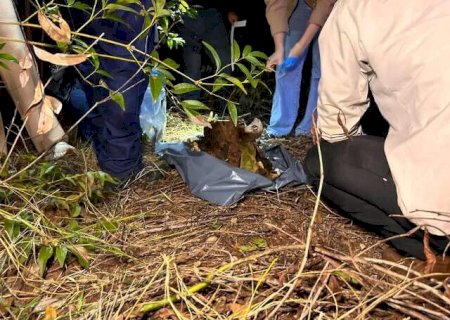 Ossada é encontrada em fazenda e pode ser de homem desaparecido há 3 anos