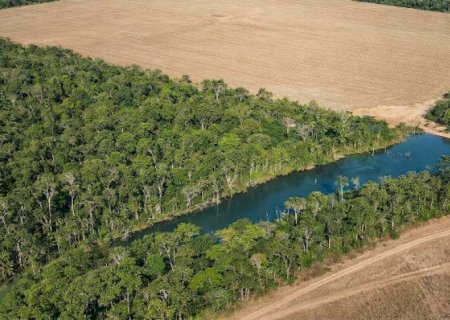 Agro e florestas, uma aliança positiva inquestionável