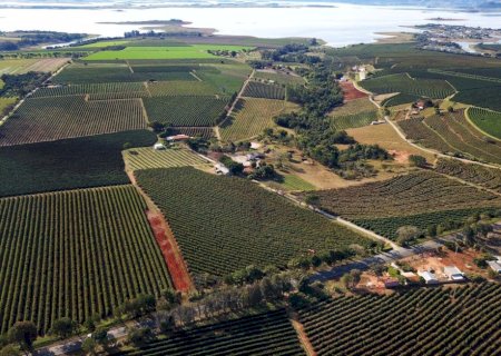 Crédito rural tem R$ 92,4 bilhões destinados a imóveis com alertas ambientais