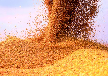 Tensões no Oriente Médio e risco de El Niño elevam preços da soja no mercado brasileiro