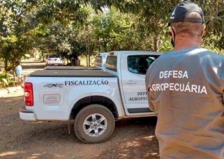 Governo do Brasil autoriza a nomeação de mais de 100 servidores para o fortalecimento da defesa agropecuária