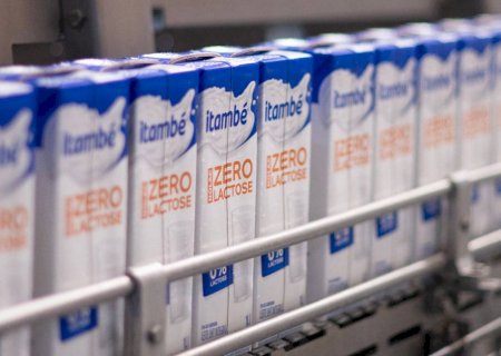 Nem todo desconforto com leite é intolerância à lactose; entenda diferenças