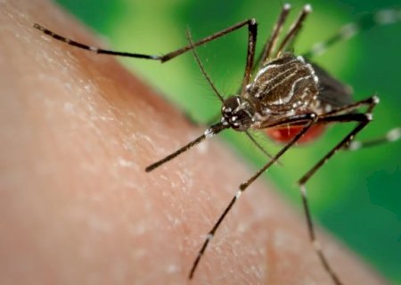 Ministério da Saúde alerta para risco de aumento de dengue e chikungunya com avanço do El Niño