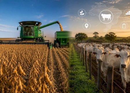 Estudo aponta avanços e desafios na rastreabilidade das cadeias da soja e da carne bovina
