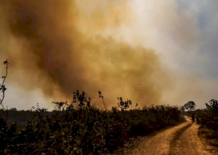 Mesmo após as cheias, seca extrema e El Niño ameaçam o futuro do Pantanal