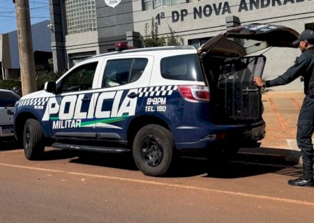 Loja recém-inaugurada é arrombada no centro de Nova Andradina; suspeito é preso pela PM