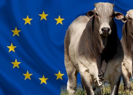 Brasil intensifica negociações com a União Europeia para ampliar acesso do agro
